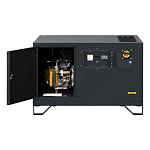 Газовый генератор Gazvolt Pro 6250 Neva 06