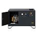 Газовый генератор Gazvolt Pro 7500 Neva 08