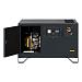 Газовый генератор Gazvolt Pro 12000 Neva 07