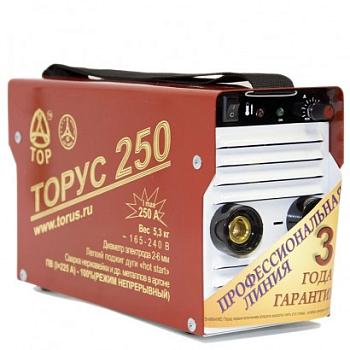 Сварочный инвертор ТОРУС-250 ЭКСТРА (НАКС)