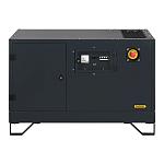 Газовый генератор Gazvolt Standard 6250 Neva 01