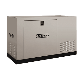 Газовый генератор Gazvolt Standard 220 KT Dnepr 21