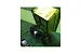 Самоходная садовая тележка Greenworks 7400007