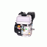 Бензиновый двигатель Evoline GB 160 5,5 л.с. (вал 20 мм) 1T90QW163EVO