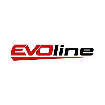 Двигатель бензиновый EVOline FH 440 E-3, 1T90QS800EVO