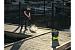 Аккумуляторная мойка высокого давления GreenWorks 40В 5104507