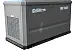 Генератор газовый Evoline GNG 19000 E GNG19000E