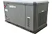 Генератор газовый Evoline GNG 13500 E GNG13500E
